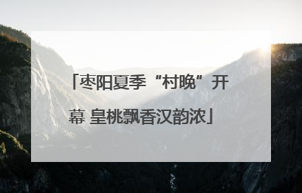 枣阳夏季“村晚”开幕 皇桃飘香汉韵浓