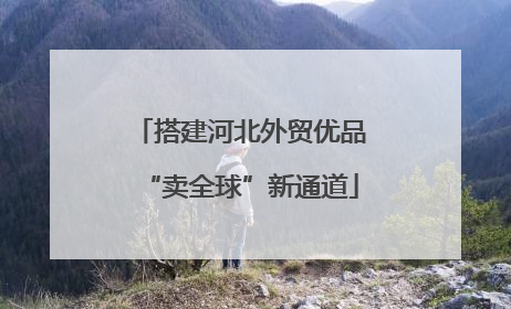 搭建河北外贸优品“卖全球”新通道