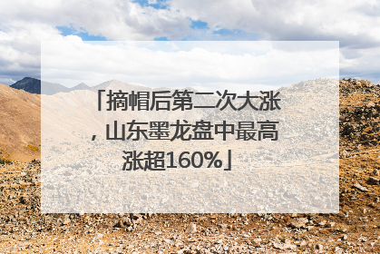摘帽后第二次大涨，山东墨龙盘中最高涨超160%