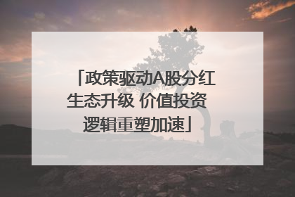 政策驱动A股分红生态升级 价值投资逻辑重塑加速