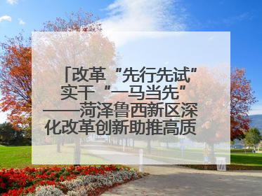 改革“先行先试” 实干“一马当先”——菏泽鲁西新区深化改革创新助推高质量发展纪实