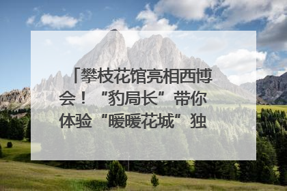攀枝花馆亮相西博会！“豹局长”带你体验“暖暖花城”独特魅力｜西博视界