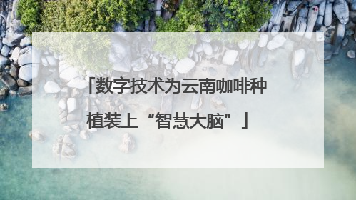 数字技术为云南咖啡种植装上“智慧大脑”