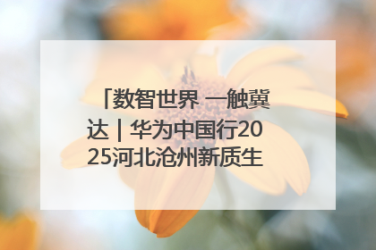 数智世界 一触冀达｜华为中国行2025河北沧州新质生产力峰会成功举办