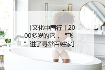 文化中国行丨2000多岁的它，“飞”进了寻常百姓家