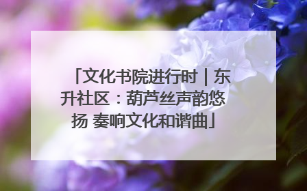 文化书院进行时｜东升社区：葫芦丝声韵悠扬 奏响文化和谐曲
