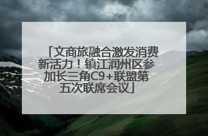 文商旅融合激发消费新活力！镇江润州区参加长三角C9+联盟第五次联席会议