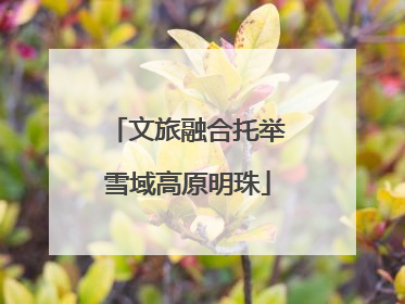 文旅融合托举雪域高原明珠