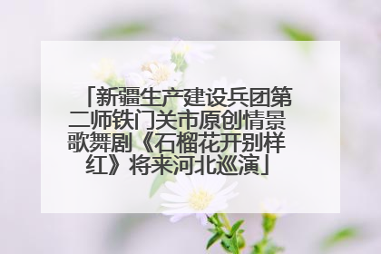 新疆生产建设兵团第二师铁门关市原创情景歌舞剧《石榴花开别样红》将来河北巡演