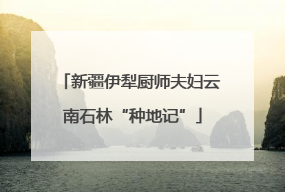 新疆伊犁厨师夫妇云南石林“种地记”