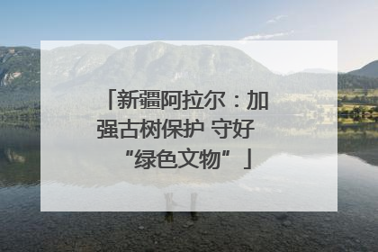 新疆阿拉尔：加强古树保护 守好“绿色文物”