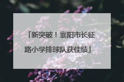 新突破！襄阳市长征路小学排球队获佳绩
