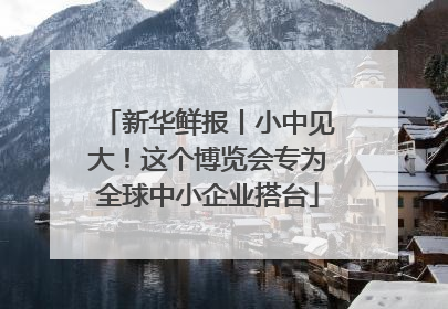 新华鲜报丨小中见大！这个博览会专为全球中小企业搭台