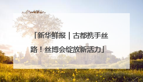 新华鲜报｜古都携手丝路！丝博会绽放新活力