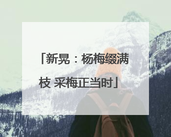 新晃：杨梅缀满枝 采梅正当时