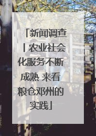 新闻调查丨农业社会化服务不断成熟 来看粮仓邓州的实践