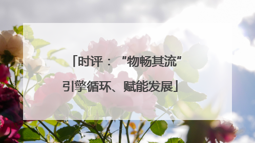 时评：“物畅其流”引擎循环、赋能发展