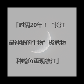 时隔20年！“长江最神秘的生物”极危物种鳤鱼重现赣江