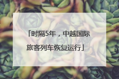 时隔5年，中越国际旅客列车恢复运行