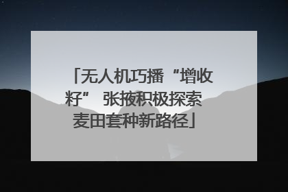 无人机巧播“增收籽” 张掖积极探索麦田套种新路径