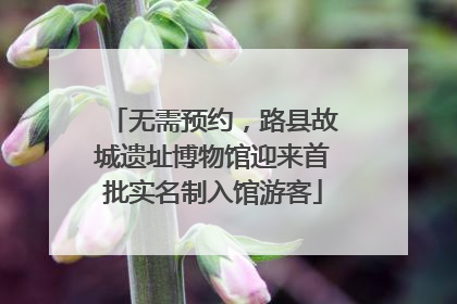 无需预约，路县故城遗址博物馆迎来首批实名制入馆游客