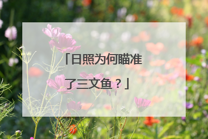 日照为何瞄准了三文鱼？
