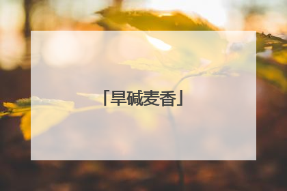 旱碱麦香
