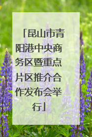 昆山市青阳港中央商务区暨重点片区推介合作发布会举行