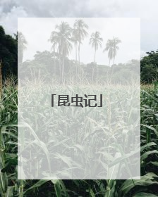 昆虫记