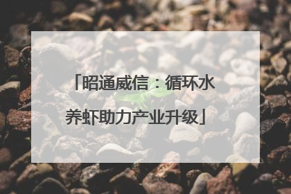 昭通威信：循环水养虾助力产业升级
