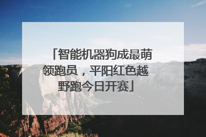 智能机器狗成最萌领跑员，平阳红色越野跑今日开赛