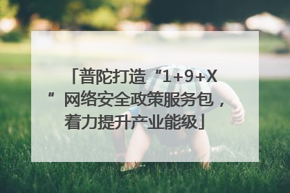普陀打造“1+9+X”网络安全政策服务包，着力提升产业能级