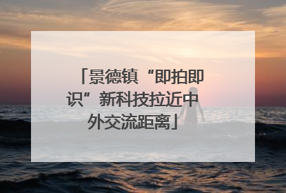 景德镇“即拍即识”新科技拉近中外交流距离