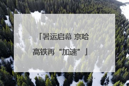 暑运启幕 京哈高铁再“加速”