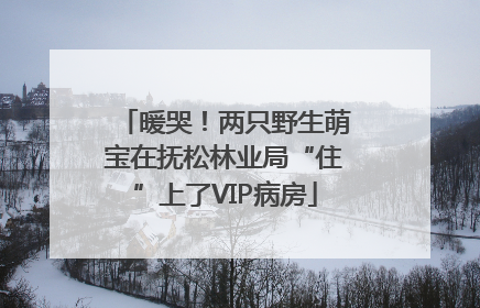 暖哭！两只野生萌宝在抚松林业局“住”上了VIP病房