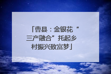 曹县：金银花“三产融合”托起乡村振兴致富梦