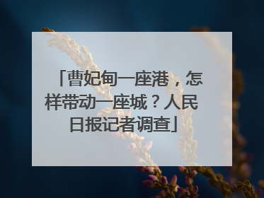 曹妃甸一座港，怎样带动一座城？人民日报记者调查