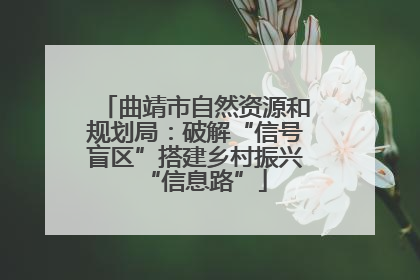 曲靖市自然资源和规划局：破解“信号盲区”搭建乡村振兴“信息路”