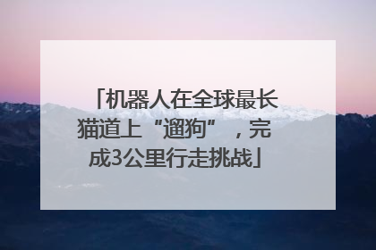 机器人在全球最长猫道上“遛狗”，完成3公里行走挑战