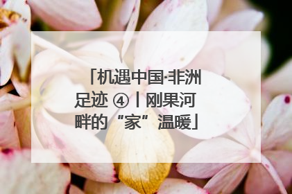 机遇中国·非洲足迹 ④丨刚果河畔的“家”温暖