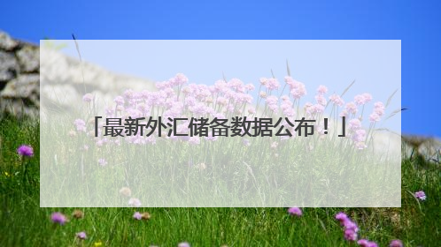 最新外汇储备数据公布！