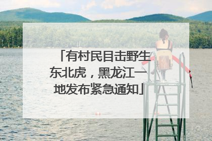 有村民目击野生东北虎，黑龙江一地发布紧急通知