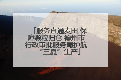 服务直通麦田 保障颗粒归仓 德州市行政审批服务局护航“三夏”生产