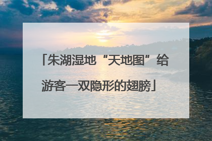 朱湖湿地“天地图”给游客一双隐形的翅膀
