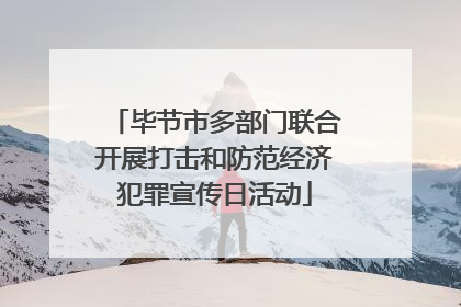 毕节市多部门联合开展打击和防范经济犯罪宣传日活动