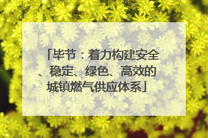 毕节：着力构建安全、稳定、绿色、高效的城镇燃气供应体系