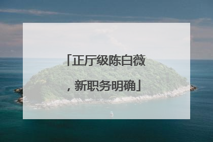 正厅级陈白薇，新职务明确
