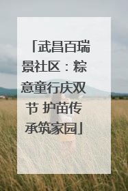 武昌百瑞景社区：粽意童行庆双节 护苗传承筑家园
