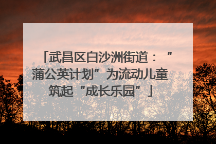 武昌区白沙洲街道：“蒲公英计划”为流动儿童筑起“成长乐园”