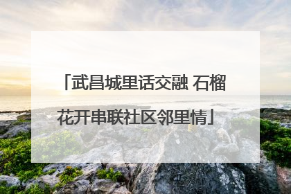 武昌城里话交融 石榴花开串联社区邻里情